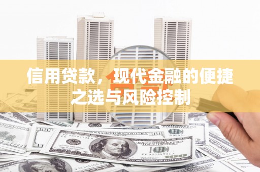 西和信用贷款，现代金融的便捷之选与风险控制