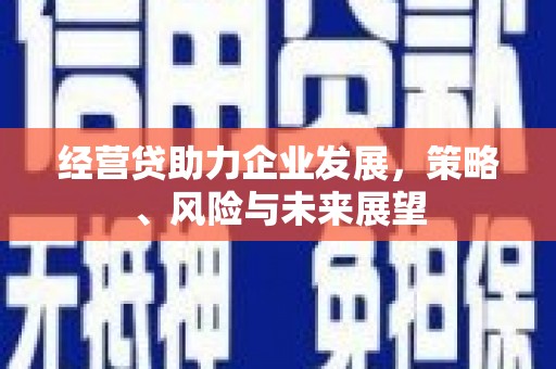 西和经营贷助力企业发展，策略、风险与未来展望