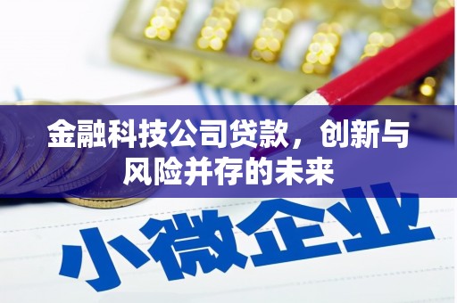 西和金融科技公司贷款，创新与风险并存的未来
