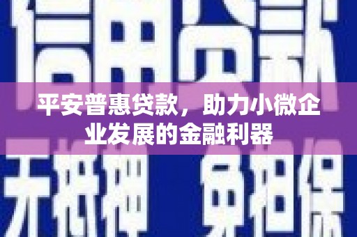 西和平安普惠贷款，助力小微企业发展的金融利器
