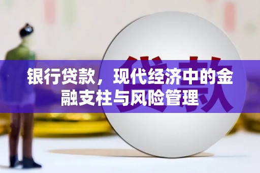 西和银行贷款，现代经济中的金融支柱与风险管理