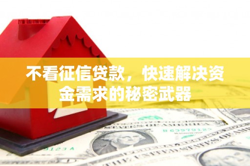 西和不看征信贷款，快速解决资金需求的秘密武器