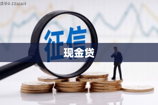 西和现金贷