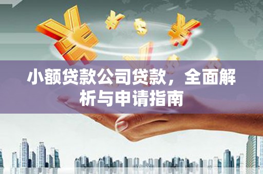 西和小额贷款公司贷款，全面解析与申请指南