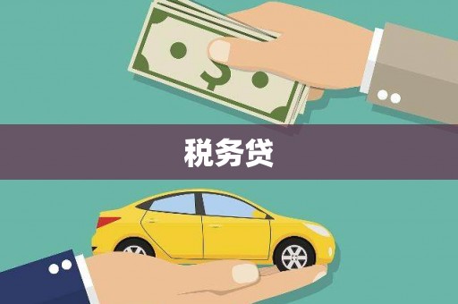 西和税务贷