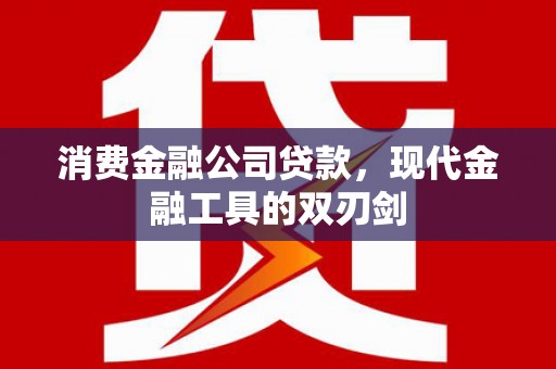 西和消费金融公司贷款，现代金融工具的双刃剑