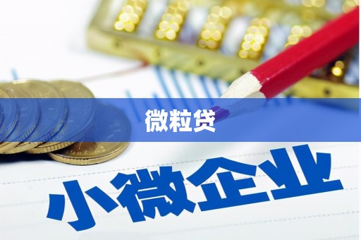 西和微粒贷