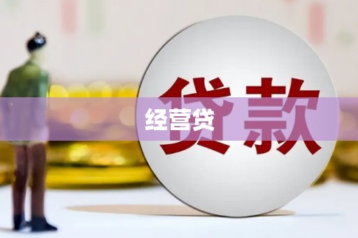 西和经营贷