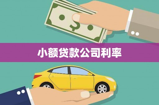 西和小额贷款公司利率