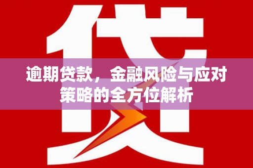 西和逾期贷款，金融风险与应对策略的全方位解析