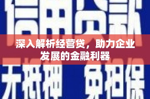 西和深入解析经营贷，助力企业发展的金融利器