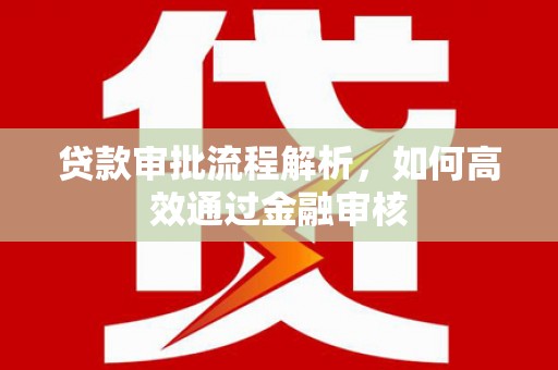 西和贷款审批流程解析，如何高效通过金融审核