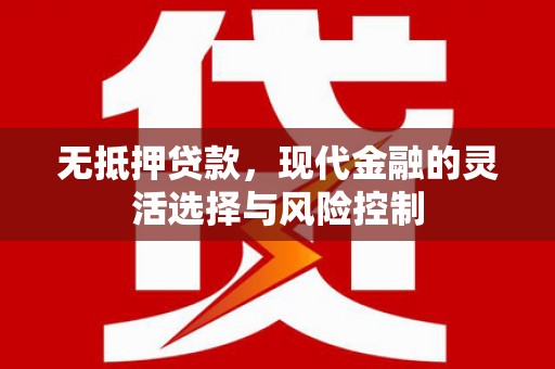 西和无抵押贷款，现代金融的灵活选择与风险控制