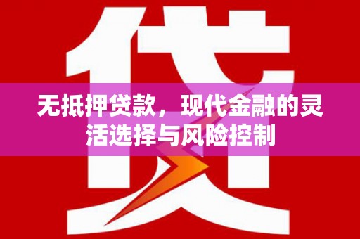 西和无抵押贷款，现代金融的灵活选择与风险控制