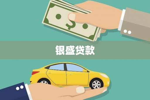 西和银盛贷款