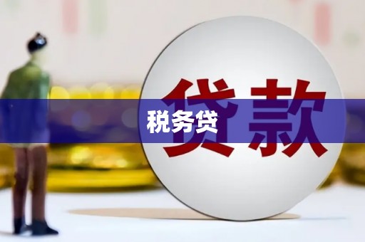 西和税务贷
