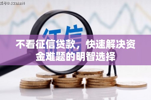 西和不看征信贷款，快速解决资金难题的明智选择