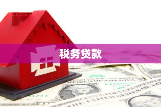 西和税务贷款