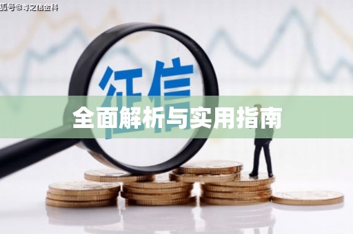 西和全面解析与实用指南
