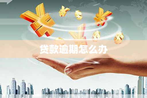 西和贷款逾期怎么办