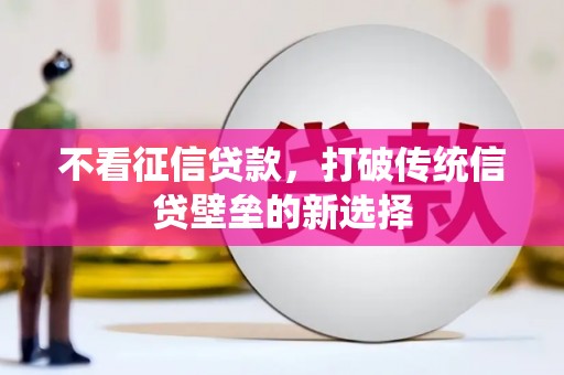 西和不看征信贷款，打破传统信贷壁垒的新选择