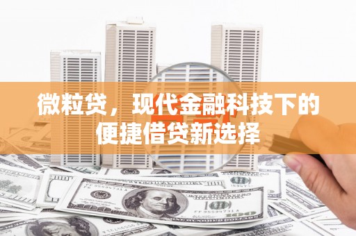 西和微粒贷，现代金融科技下的便捷借贷新选择