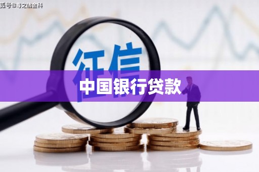 西和中国银行贷款