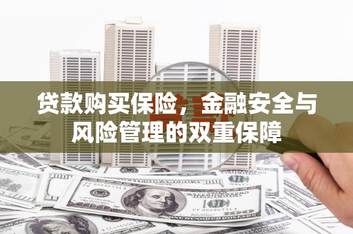 西和贷款购买保险，金融安全与风险管理的双重保障