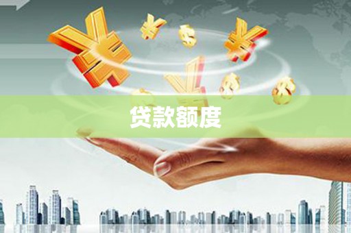 西和贷款额度