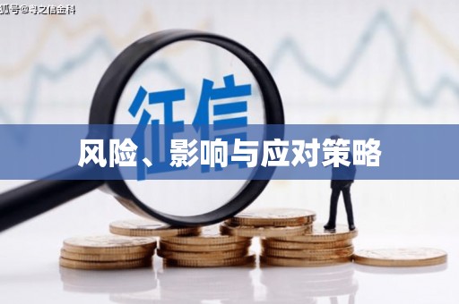 西和风险、影响与应对策略