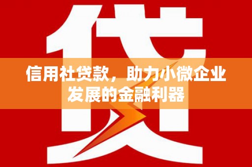 西和信用社贷款，助力小微企业发展的金融利器