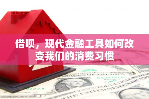 西和借呗，现代金融工具如何改变我们的消费习惯