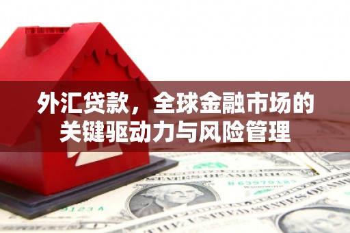 西和外汇贷款，全球金融市场的关键驱动力与风险管理