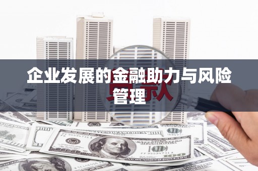 西和企业发展的金融助力与风险管理