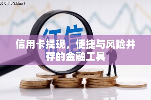 西和信用卡提现，便捷与风险并存的金融工具