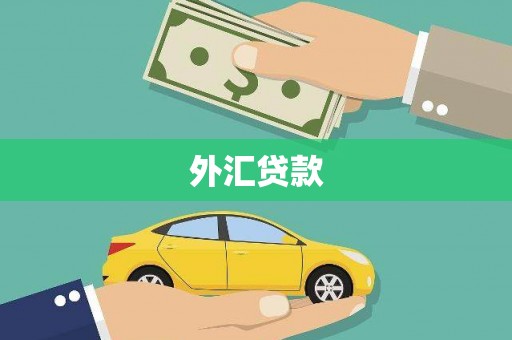 西和外汇贷款