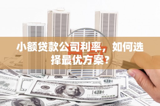 西和小额贷款公司利率，如何选择最优方案？