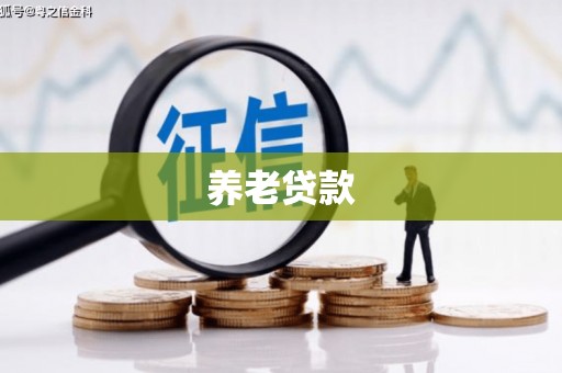 西和养老贷款