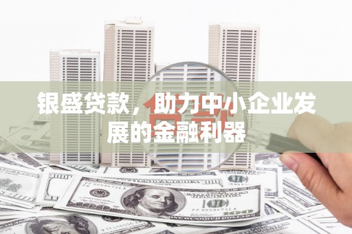 西和银盛贷款，助力中小企业发展的金融利器