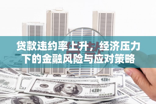 西和贷款违约率上升，经济压力下的金融风险与应对策略