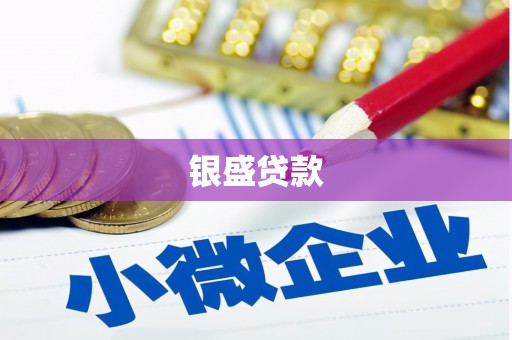 西和银盛贷款