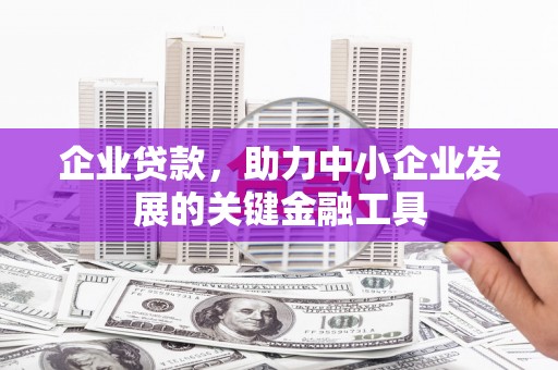 西和企业贷款，助力中小企业发展的关键金融工具