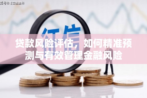西和贷款风险评估，如何精准预测与有效管理金融风险