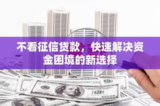 西和不看征信贷款，快速解决资金困境的新选择