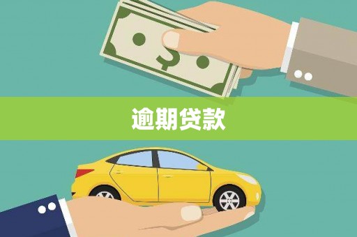 西和逾期贷款