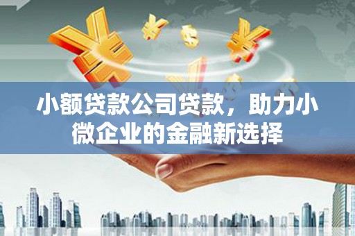 西和小额贷款公司贷款，助力小微企业的金融新选择