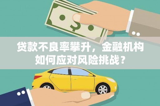 西和贷款不良率攀升，金融机构如何应对风险挑战？