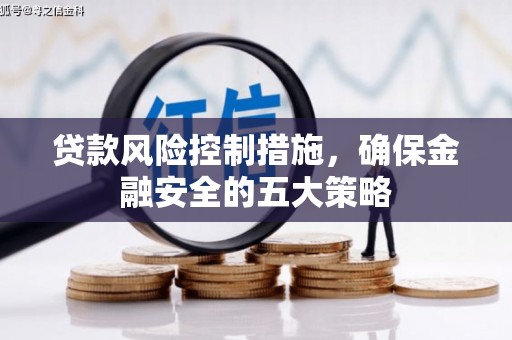 西和贷款风险控制措施，确保金融安全的五大策略