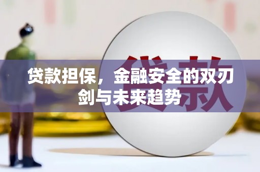 西和贷款担保，金融安全的双刃剑与未来趋势