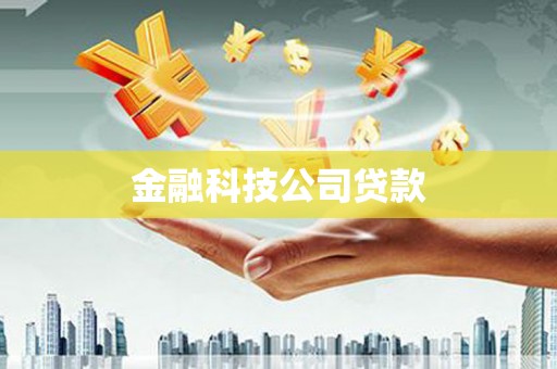 西和金融科技公司贷款